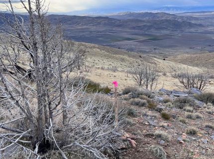 1505 Appian Way, Reno, NV 89510 Photo