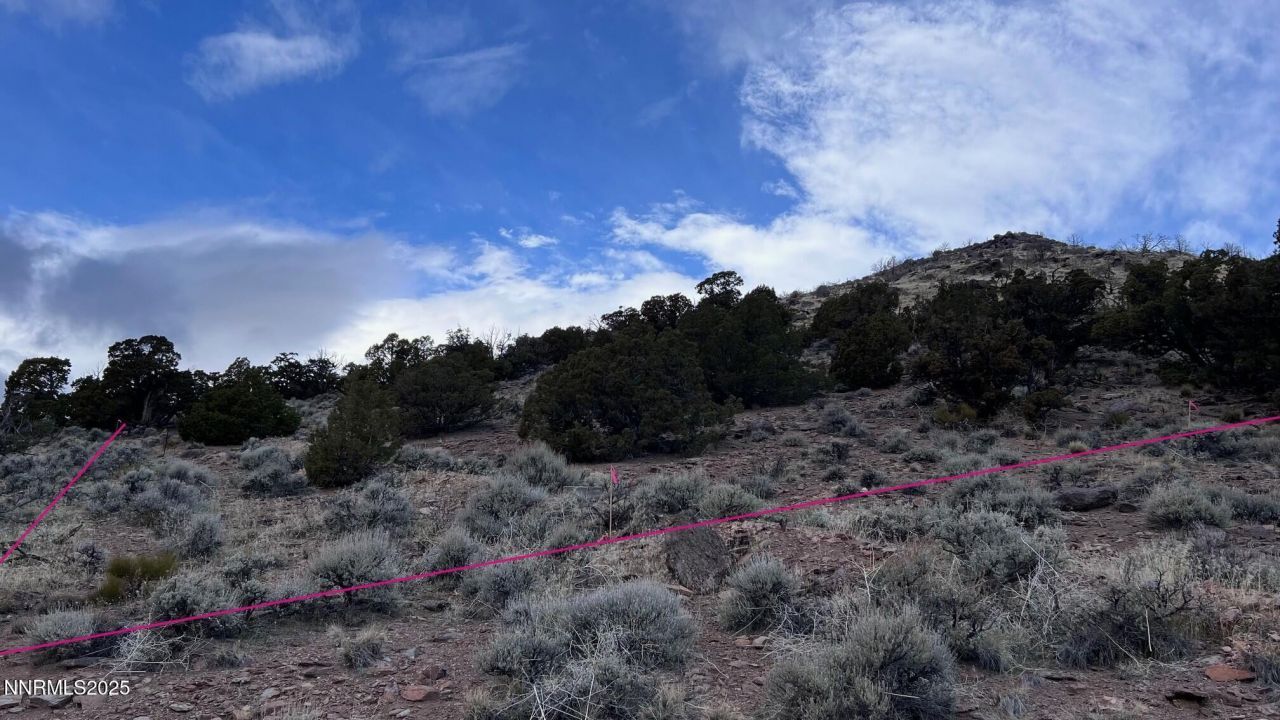 1505 Appian Way, Reno, NV 89510 Photo