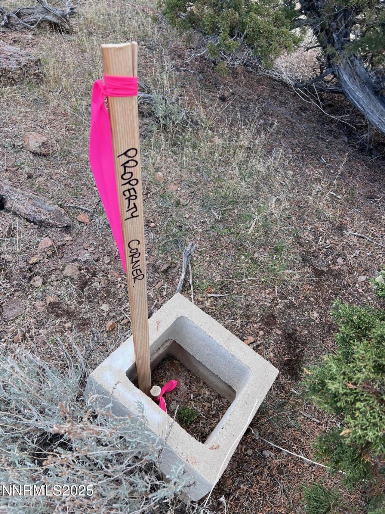 1505 Appian Way, Reno, NV 89510 Photo