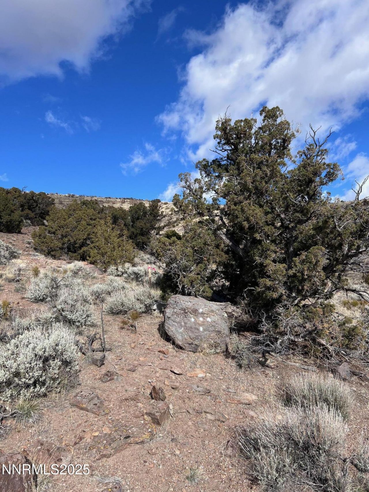 1505 Appian Way, Reno, NV 89510 Photo