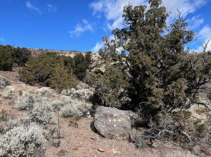 1505 Appian Way, Reno, NV 89510 Photo