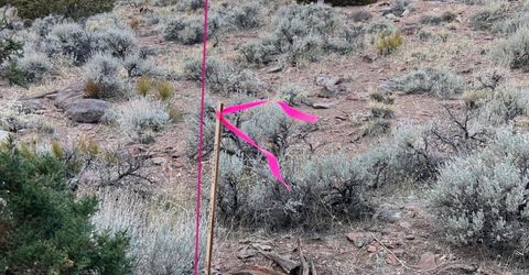 1505 Appian Way, Reno, NV 89510 Photo