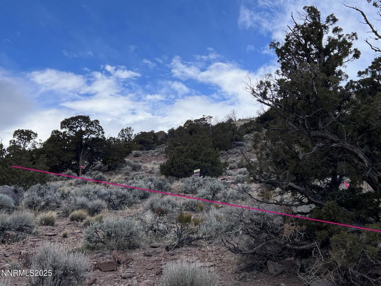 1505 Appian Way, Reno, NV 89510 Photo