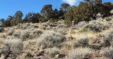 1505 Appian Way, Reno, NV 89510 Photo