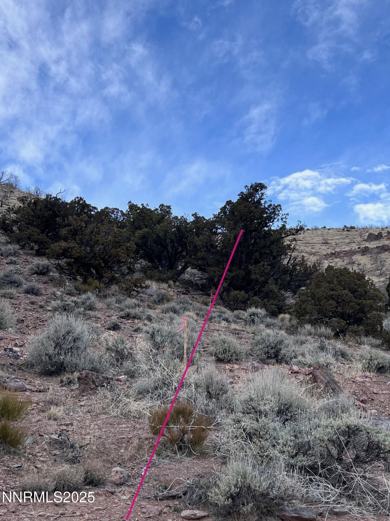 1505 Appian Way, Reno, NV 89510 Photo