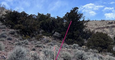 1505 Appian Way, Reno, NV 89510 Photo