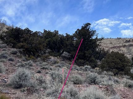 1505 Appian Way, Reno, NV 89510 Photo