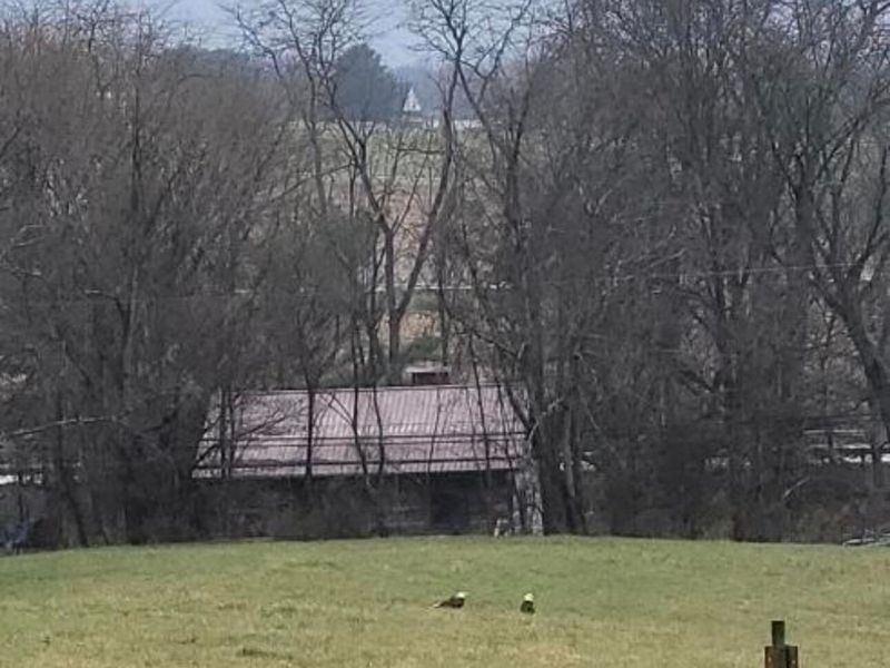 8175 Loches Road , Saint Louisville, OH 43071 Photo 4