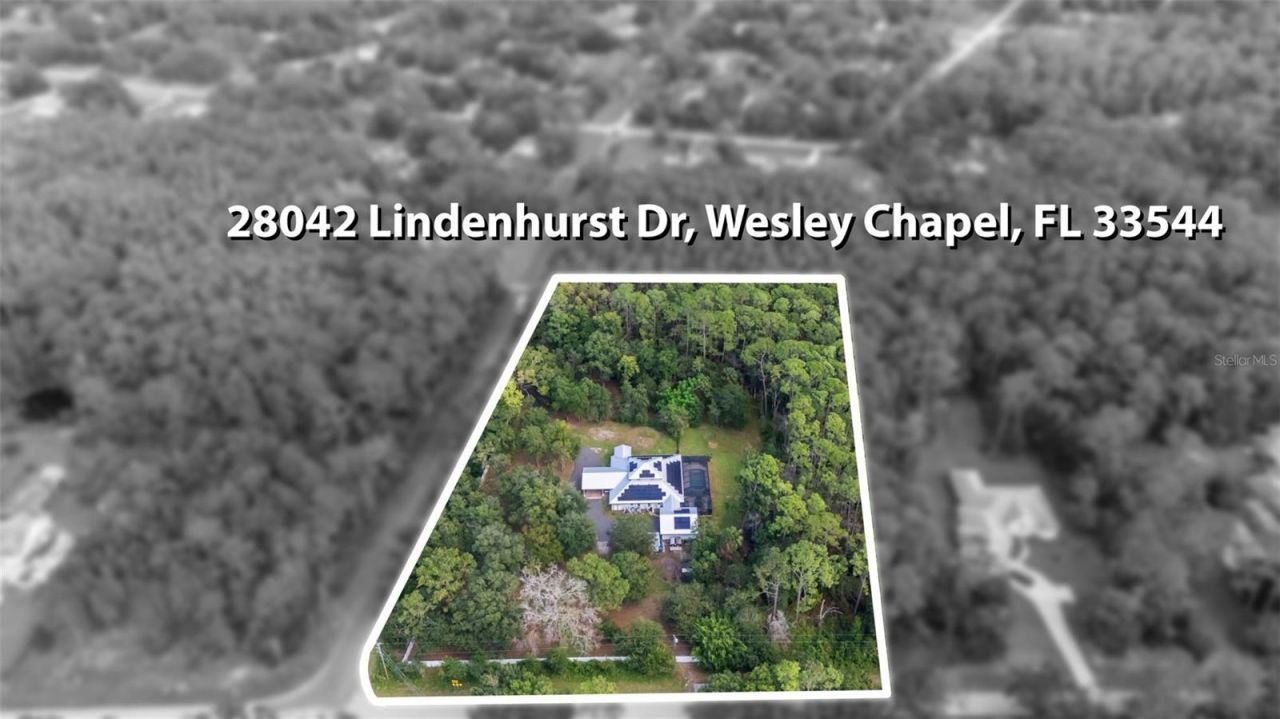 28042 Lindenhurst Drive, Wesley Chapel, FL 33544 Photo