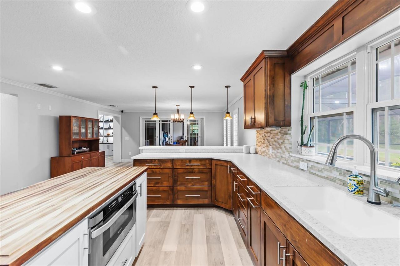 28042 Lindenhurst Drive, Wesley Chapel, FL 33544 Photo