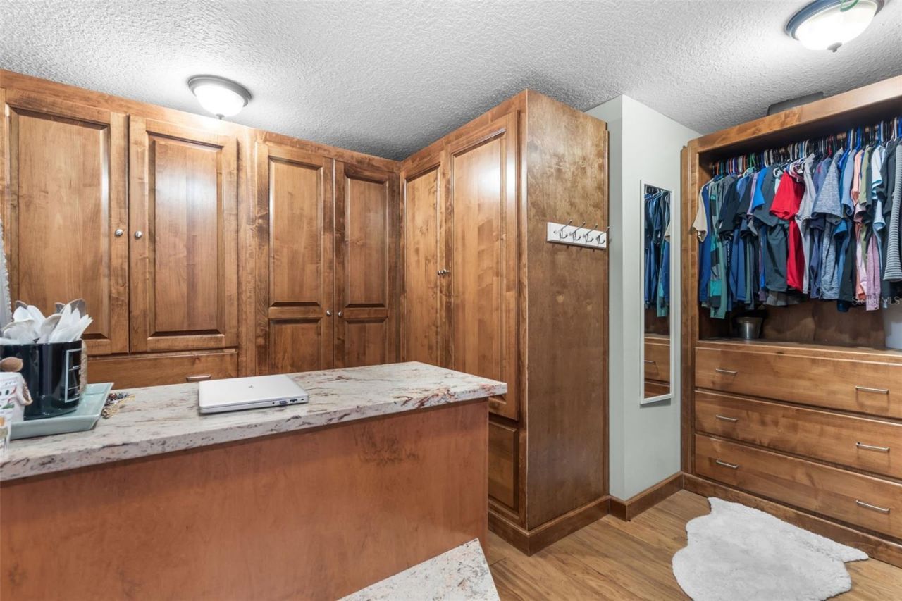 28042 Lindenhurst Drive, Wesley Chapel, FL 33544 Photo