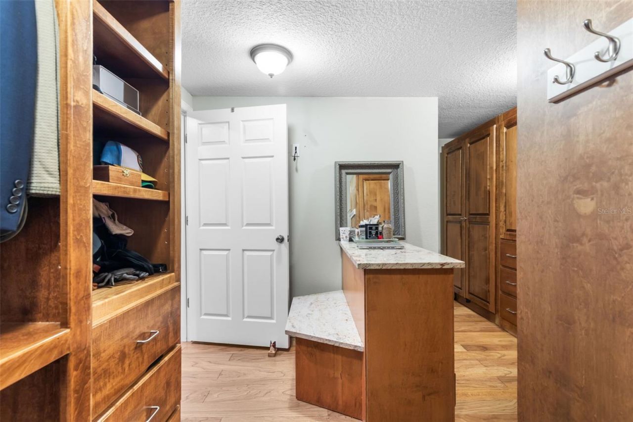 28042 Lindenhurst Drive, Wesley Chapel, FL 33544 Photo