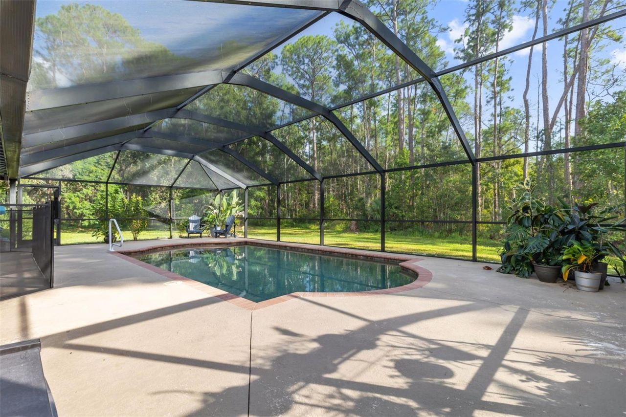 28042 Lindenhurst Drive, Wesley Chapel, FL 33544 Photo