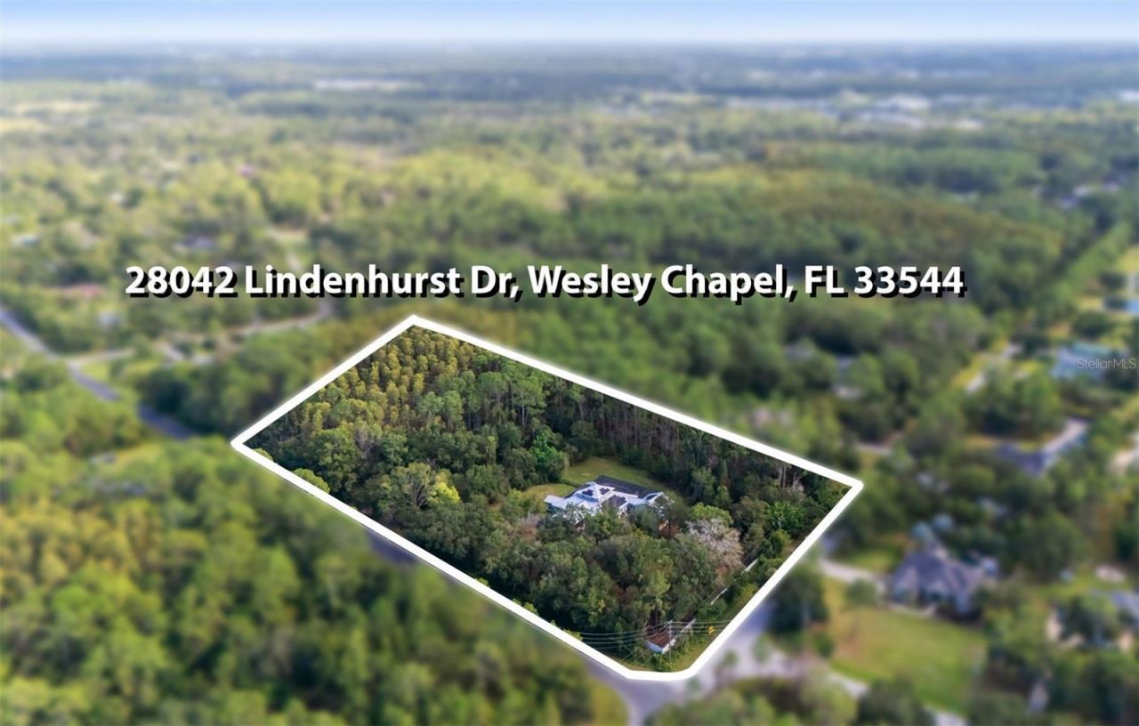 28042 Lindenhurst Drive, Wesley Chapel, FL 33544 Photo