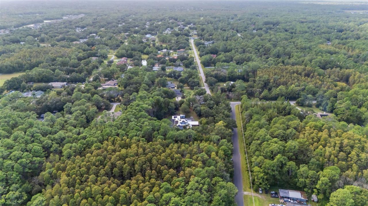 28042 Lindenhurst Drive, Wesley Chapel, FL 33544 Photo