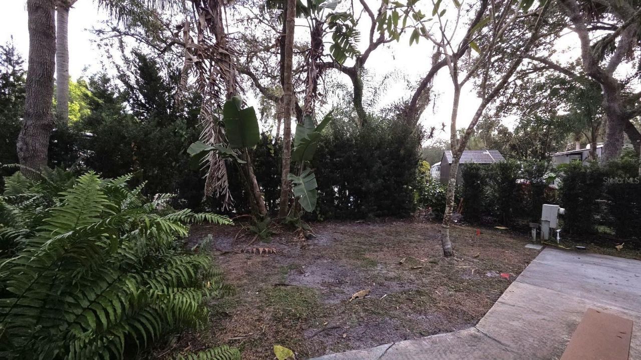 231 Stallion Lane, River Ranch, FL 33867 Photo