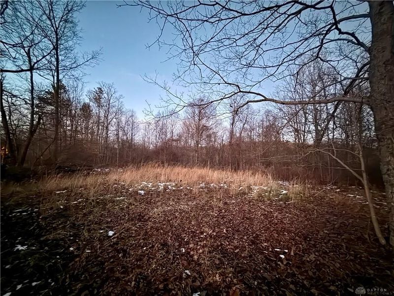 0000 Cox Road, Pee Pee Township, OH 45690 Photo 3