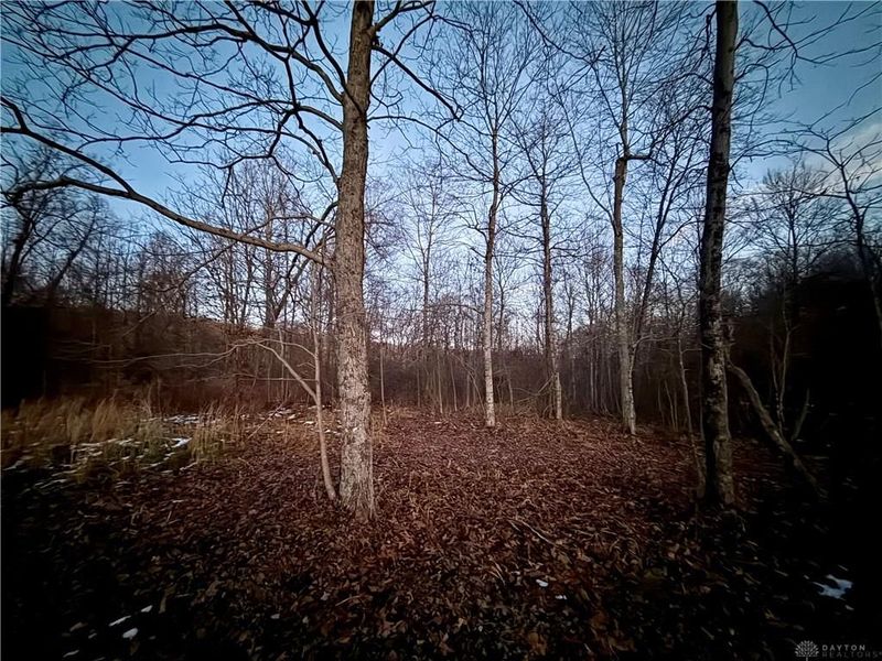 0000 Cox Road, Pee Pee Township, OH 45690 Photo 4