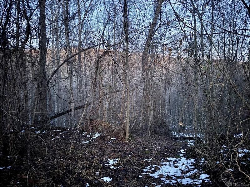 0000 Cox Road, Pee Pee Township, OH 45690 Photo 5