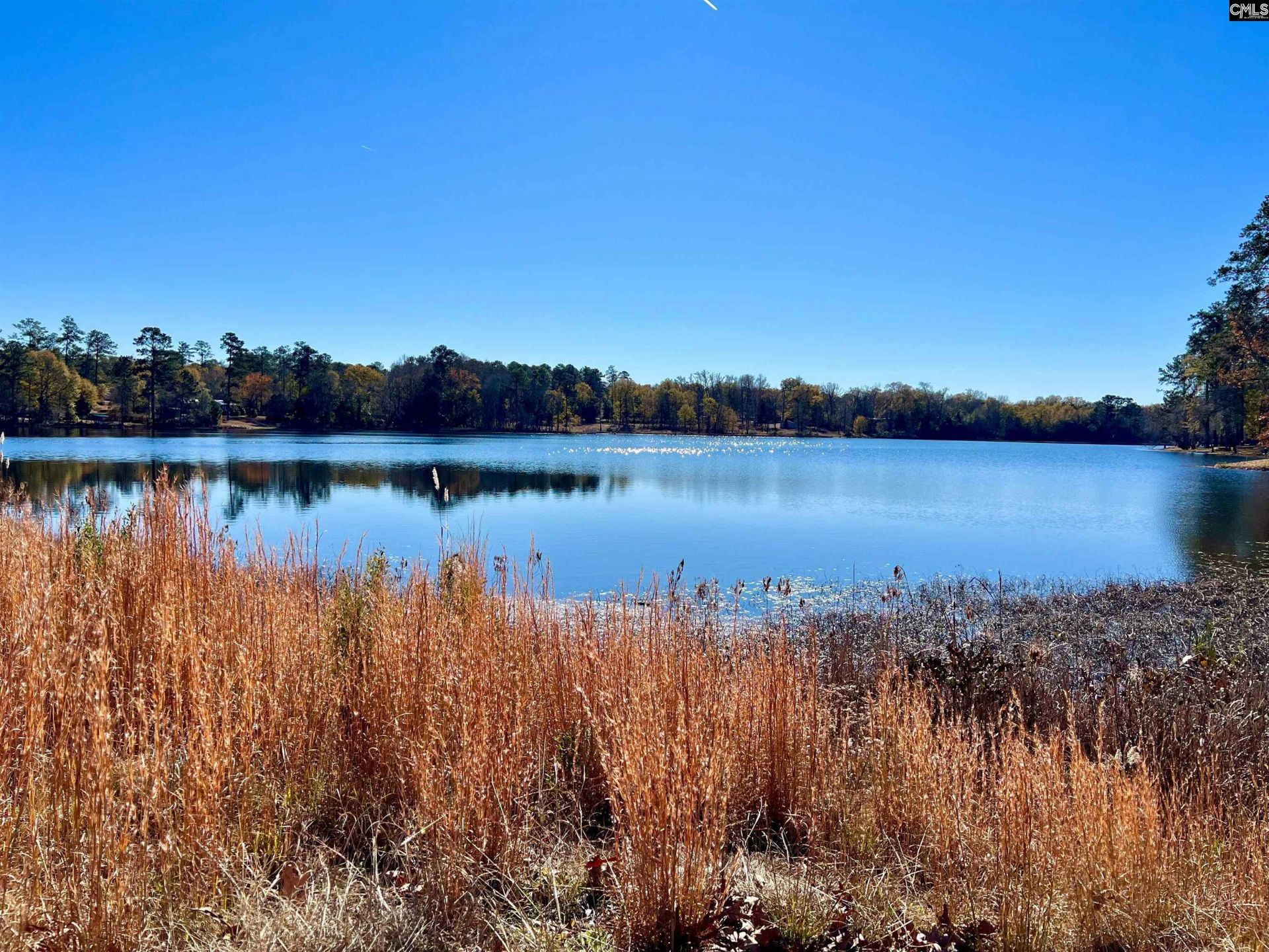 526 Litchfield Lane Photo 38