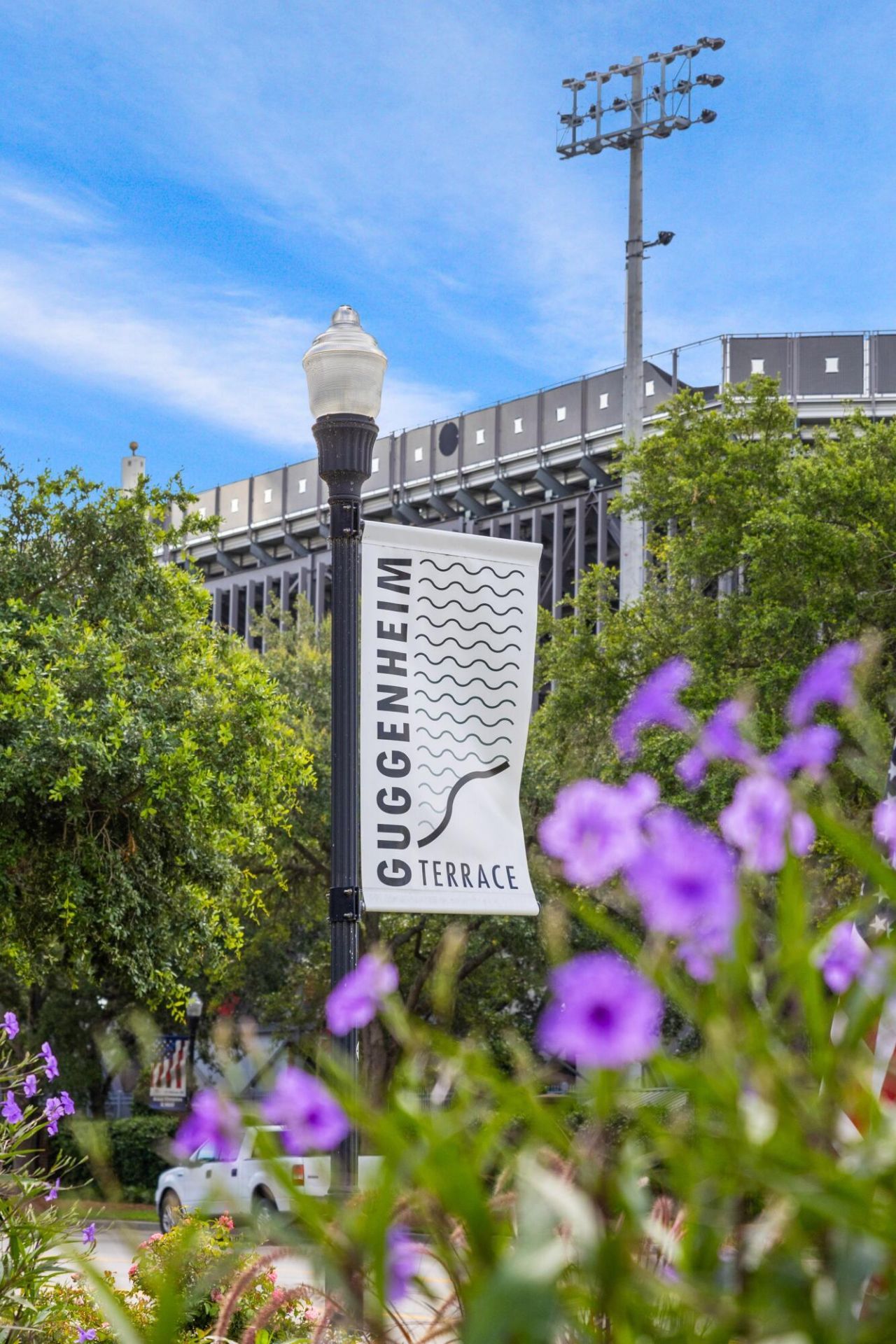 126 Fairbanks Drive Photo 25