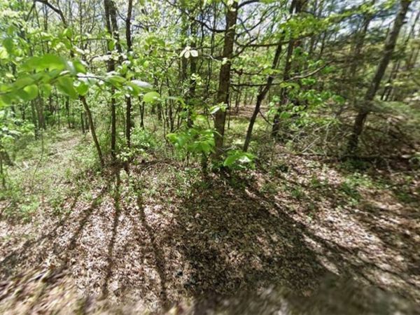 Lot 34 Darvel Lane , Bella Vista, AR 72715