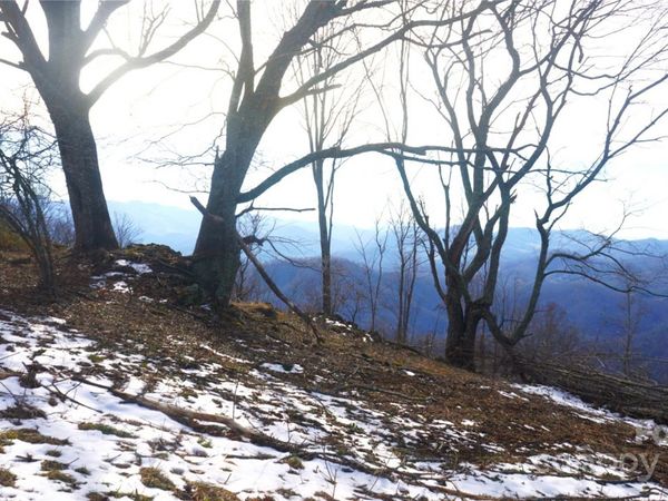 SR-1386 W Sang Branch, Hog Branch Road W, Burnsville, NC 28719