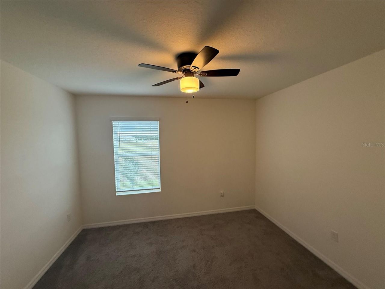 5643 Hollingworth Trail, Wesley Chapel, FL 33545 Photo