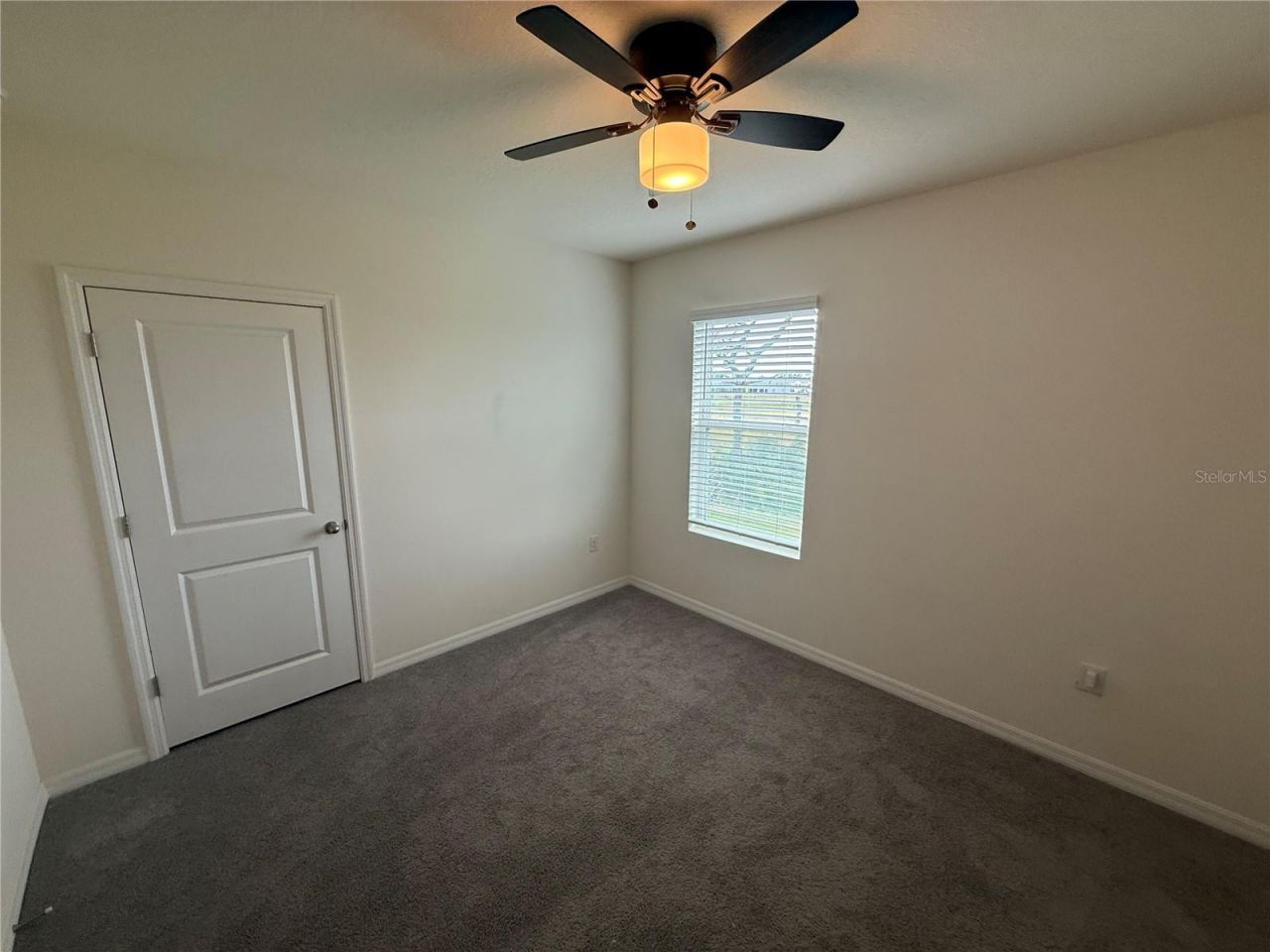 5643 Hollingworth Trail, Wesley Chapel, FL 33545 Photo