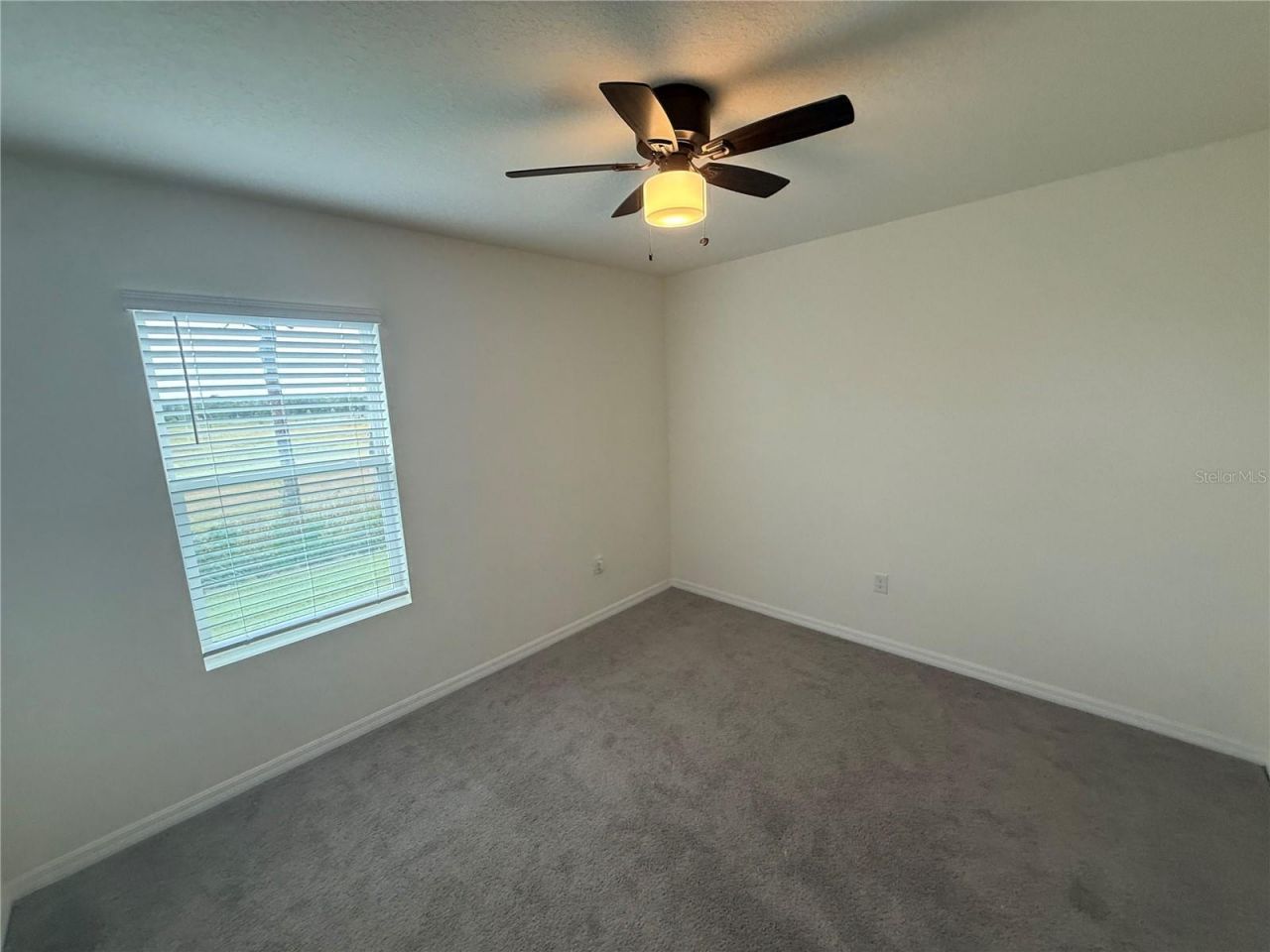 5643 Hollingworth Trail, Wesley Chapel, FL 33545 Photo