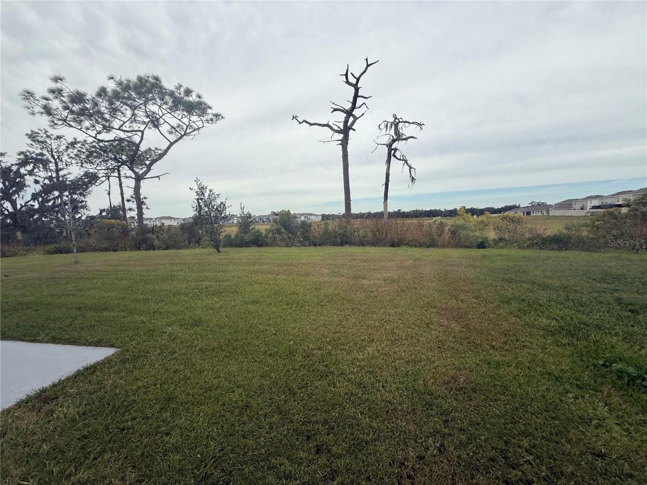5643 Hollingworth Trail, Wesley Chapel, FL 33545 Photo