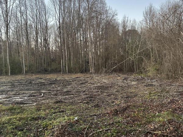 9585 Shallow Creek Trail, Bailey, NC 27807