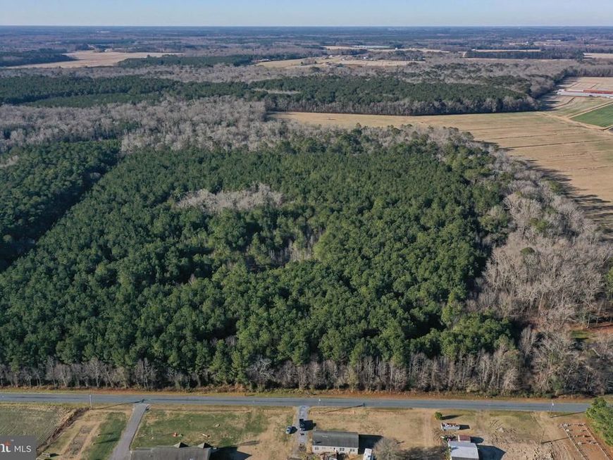 0 Bent Pine Road, Willards, MD 21874 Main Photo