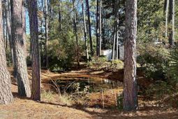 786 Richmond Trail photo 4