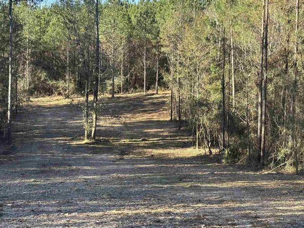 lot 56 Straw Bridge Rd, Jay, FL 32565