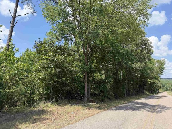 1 ROSE CREEK RD, Selmer, TN 38375