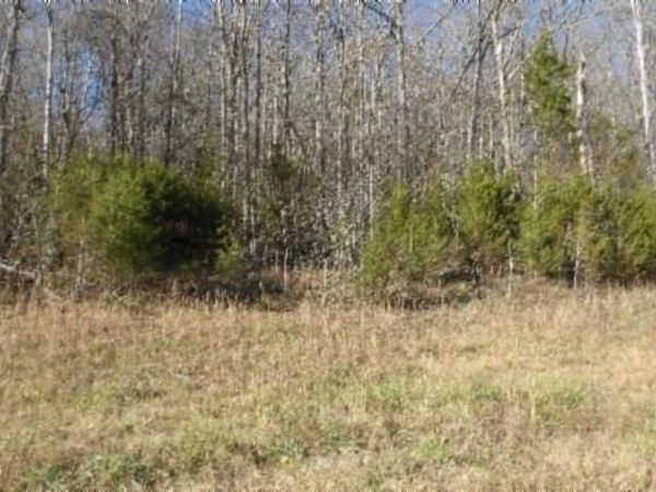 Lot 46 Cheyenne Drive , Jamestown, TN 38556