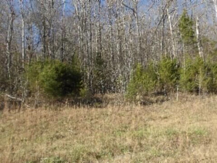 Property Image 6