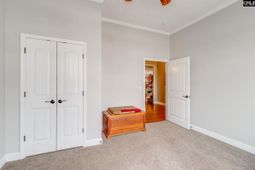 671 Scarlet Baby Drive photo 4