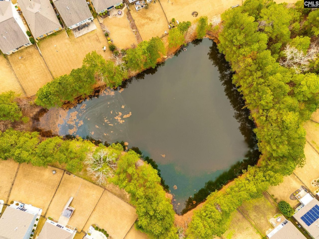 671 Scarlet Baby Drive Photo 41