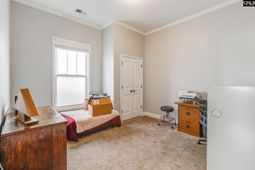 671 Scarlet Baby Drive photo 4