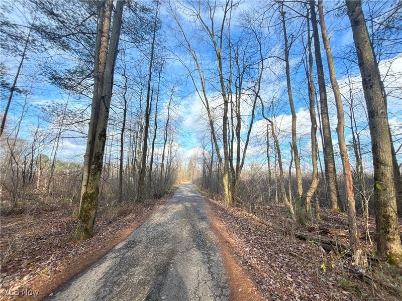 10765 Bell Road, Newbury, OH 44065 Photo 25