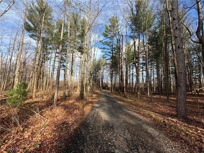 10765 Bell Road, Newbury, OH 44065 Photo 26