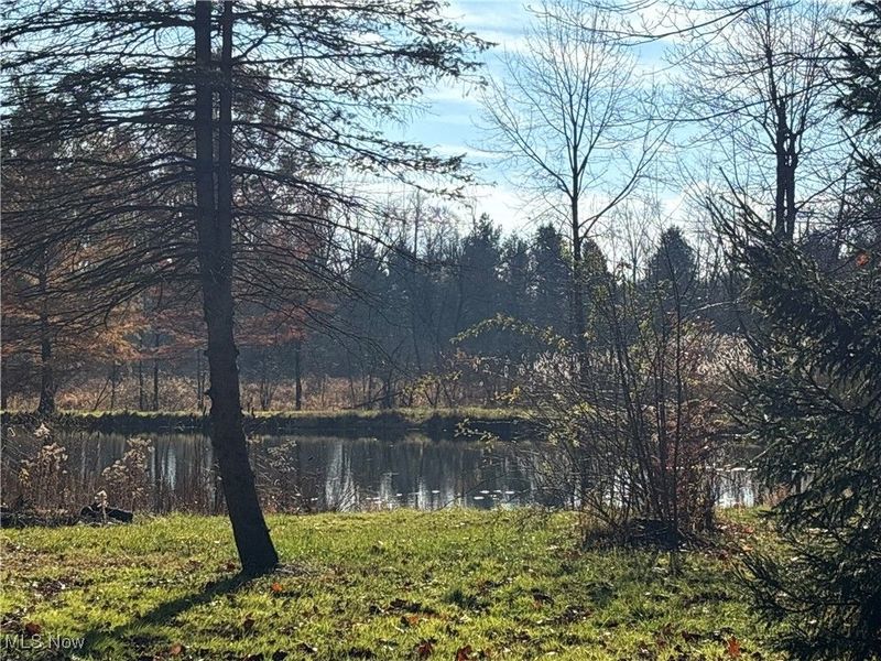 10765 Bell Road, Newbury, OH 44065 Photo 30