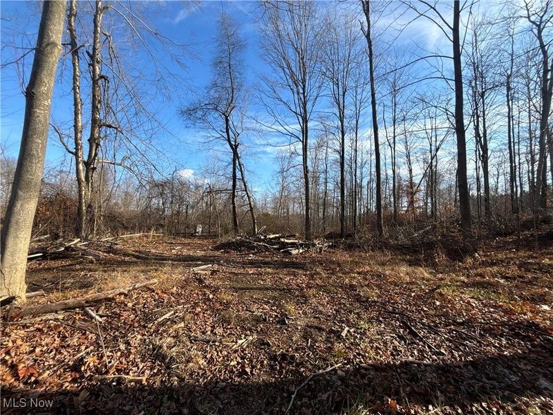 10765 Bell Road, Newbury, OH 44065 Photo 39