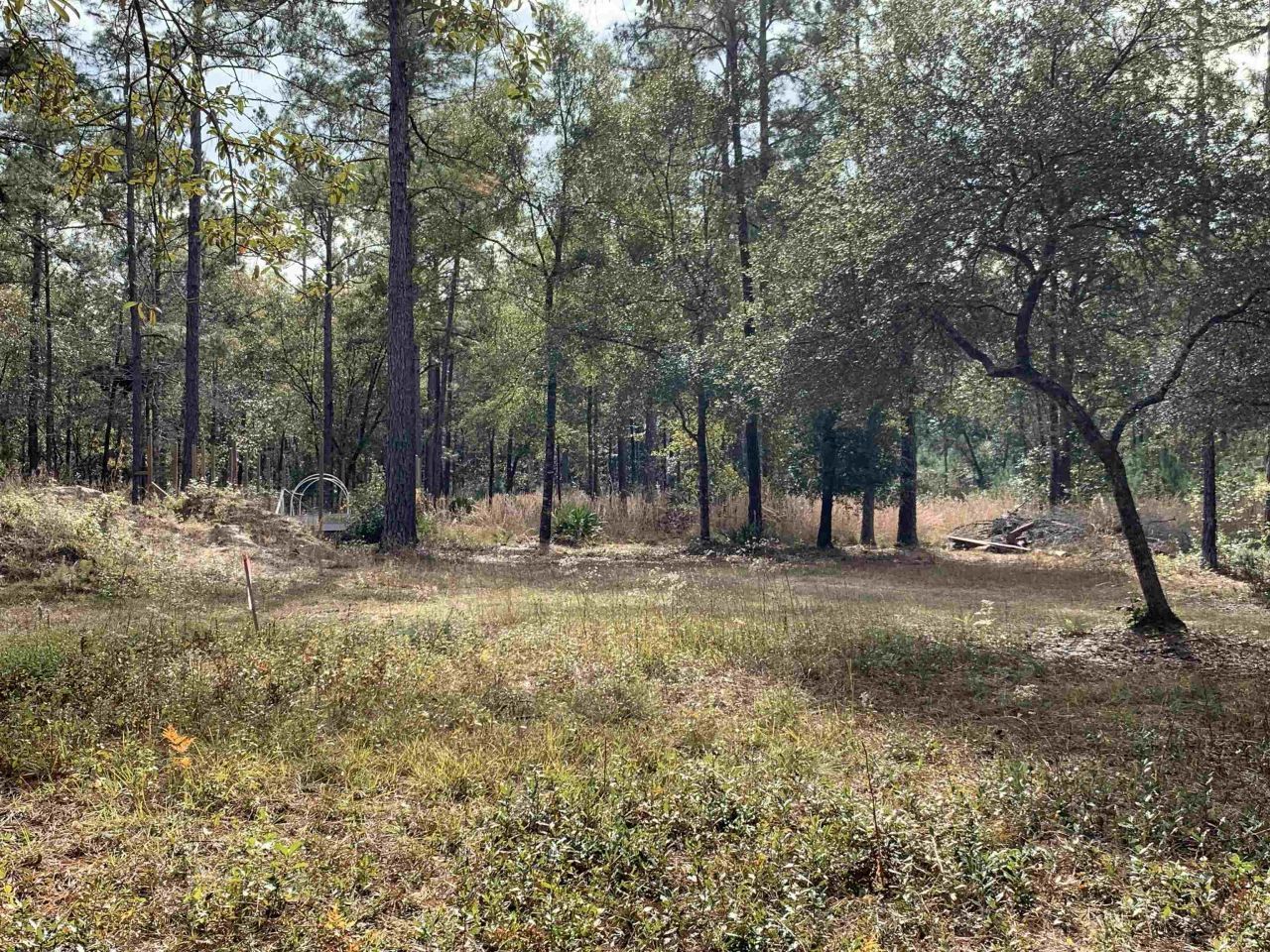 Lot 4 & 5 Seminole Lane, Sopchoppy, FL 32358 Photo