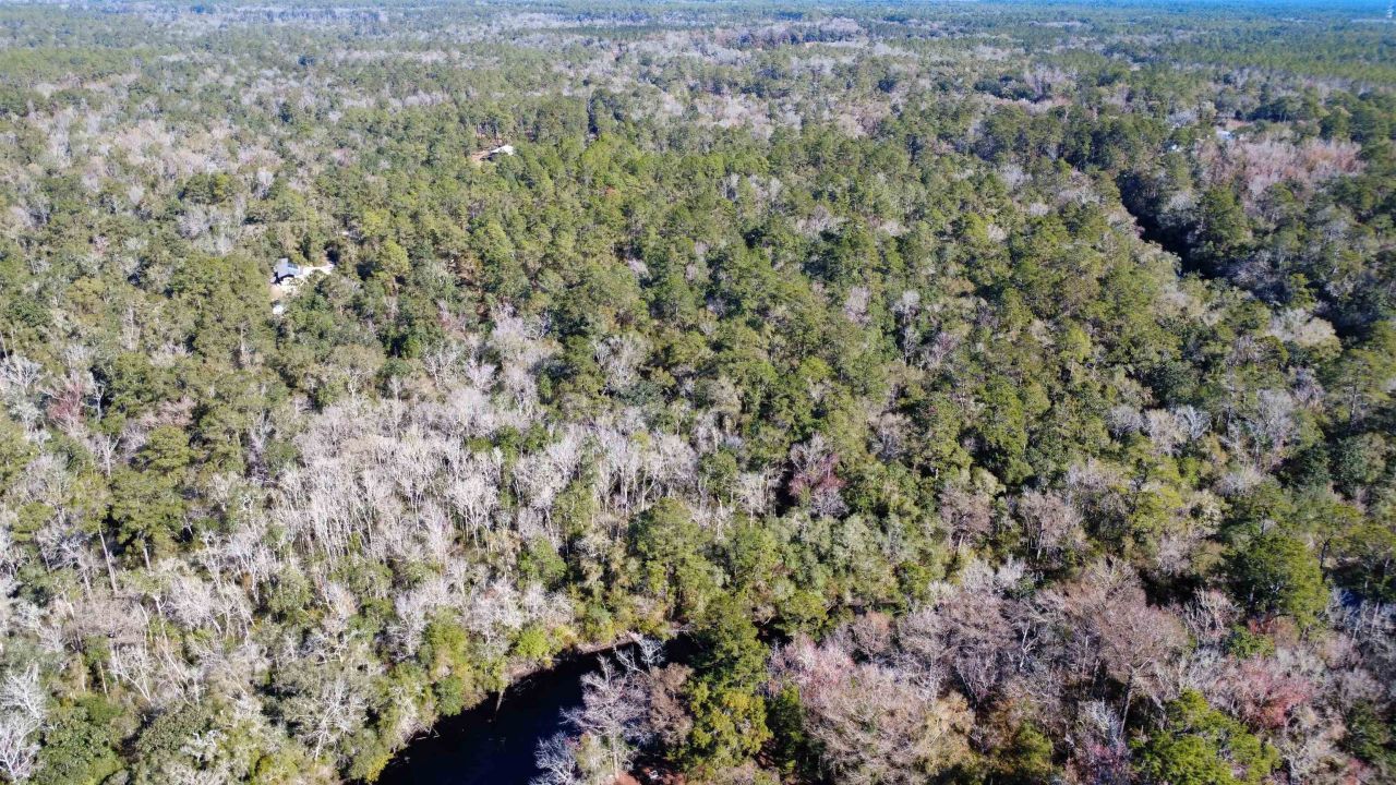 Lot 4 & 5 Seminole Lane, Sopchoppy, FL 32358 Photo