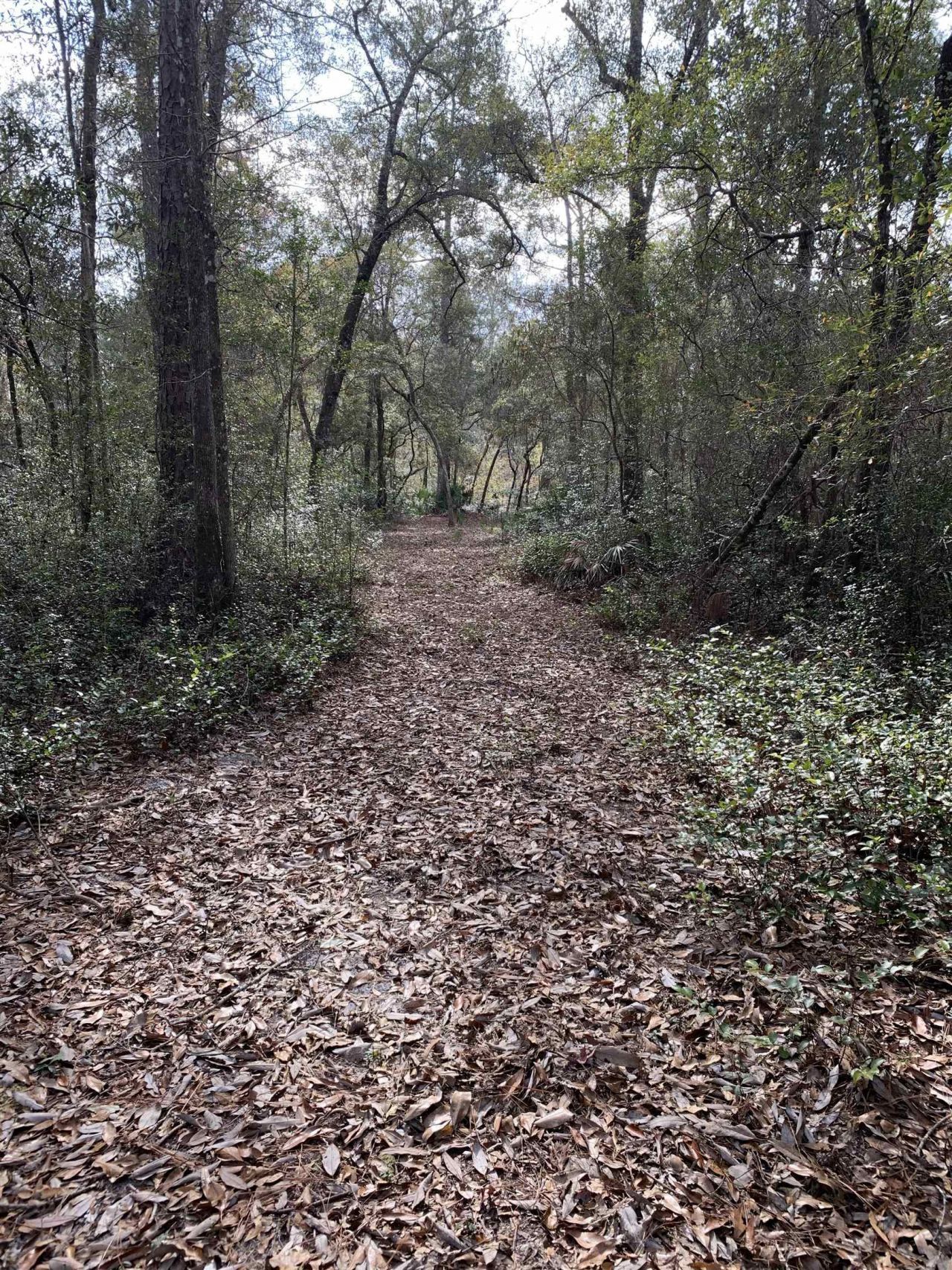Lot 4 & 5 Seminole Lane, Sopchoppy, FL 32358 Photo