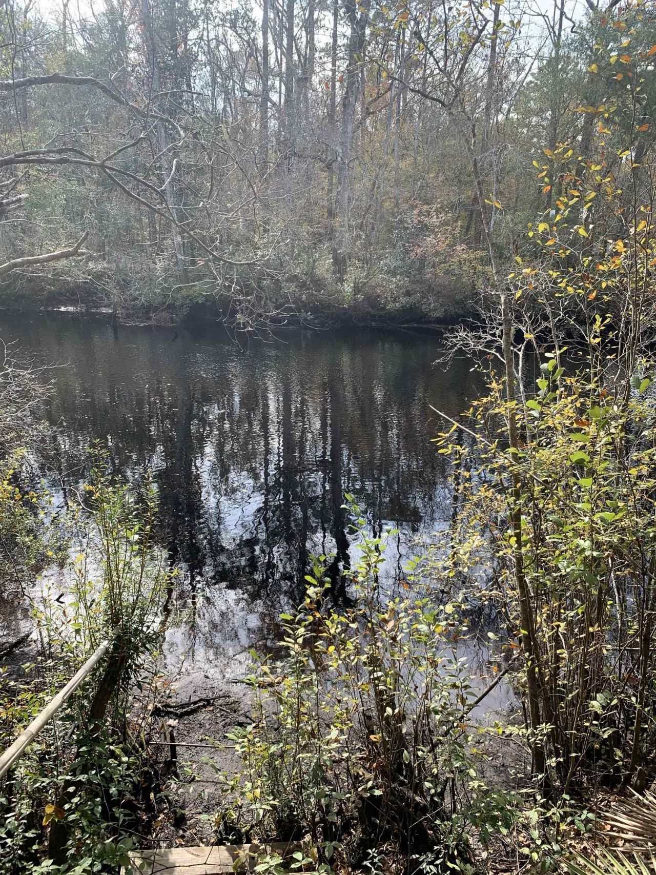 Lot 4 & 5 Seminole Lane, Sopchoppy, FL 32358 Photo