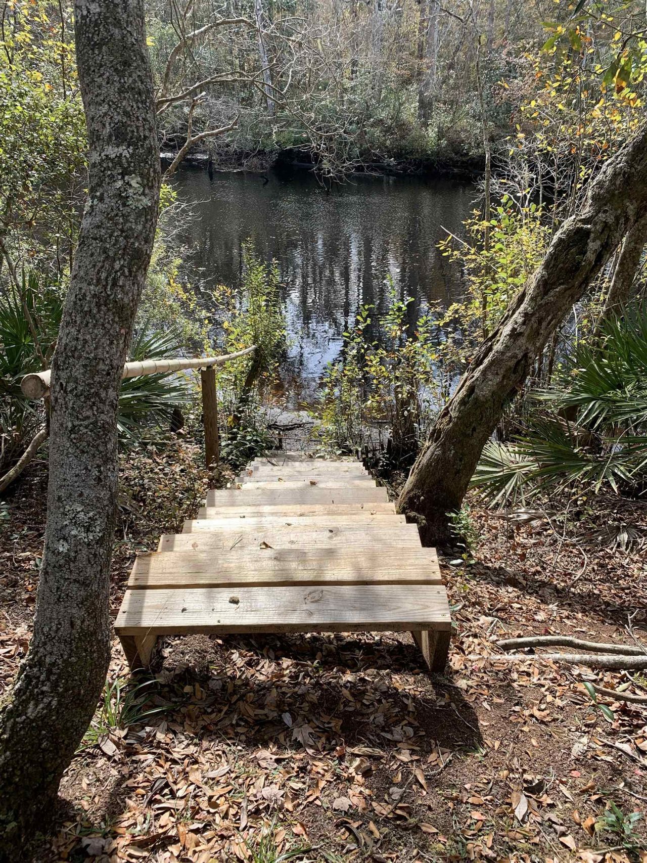 Lot 4 & 5 Seminole Lane, Sopchoppy, FL 32358 Photo